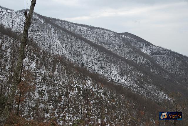 pendici innevate.JPG